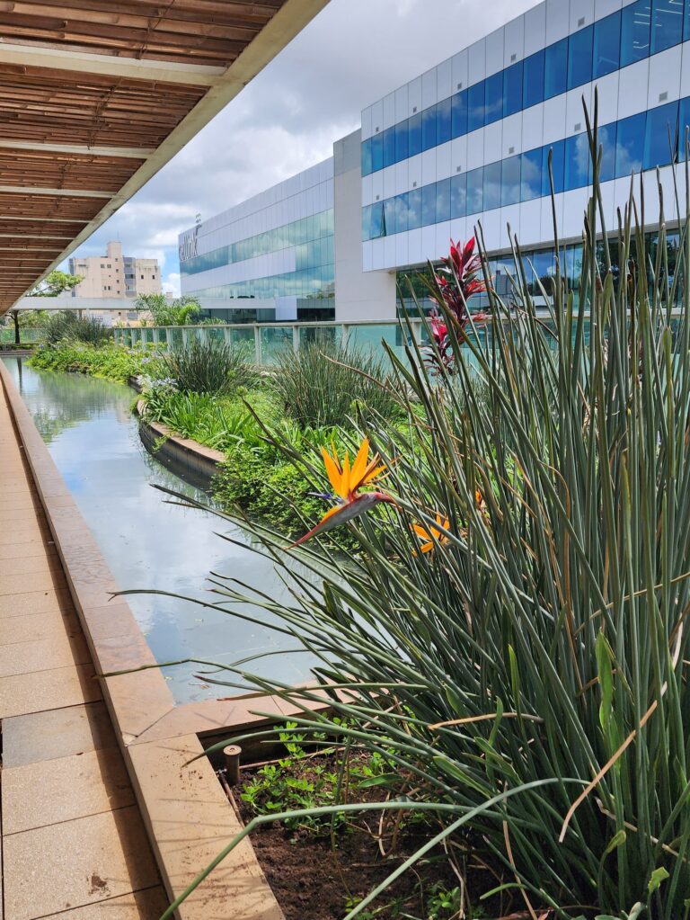 Espelho D'agua da Fachada